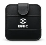 BAIC Grand Drive